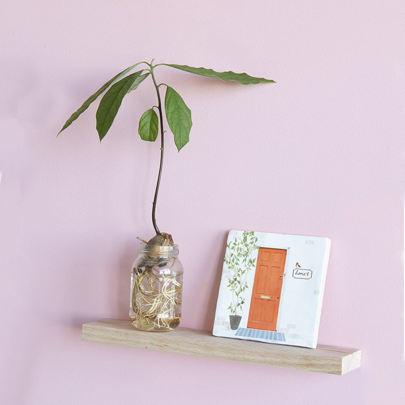 Wandplankje met plant en tegeltje op lichtroze muur