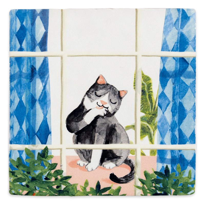 Cosy cat