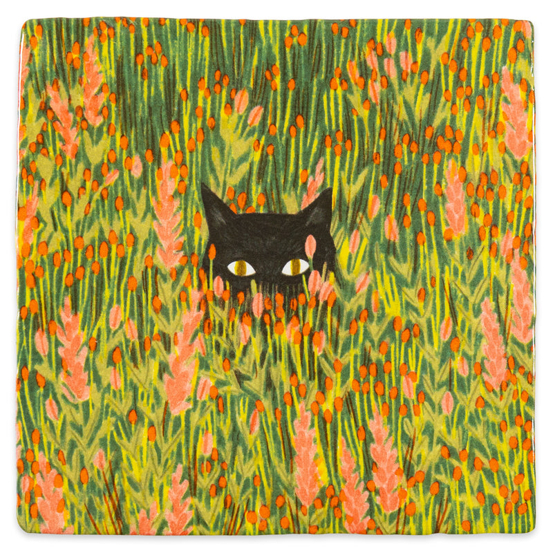 Hide & seek